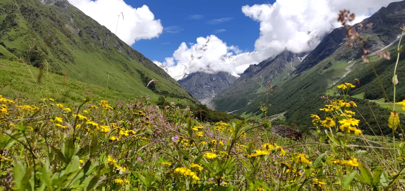 Photo of Valley of Flowers National Park By Anant Singh Rajput