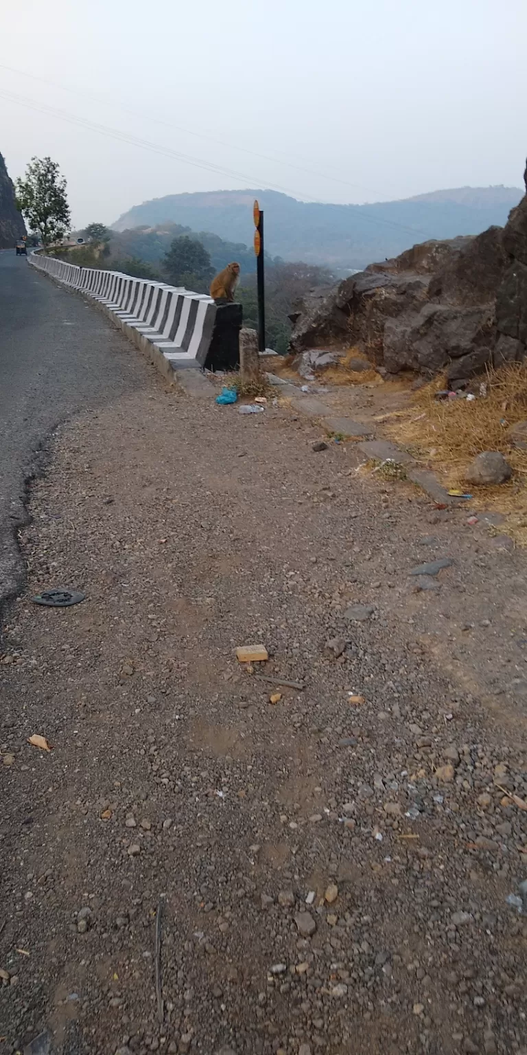 Photo of Pune By Rasika Chavan