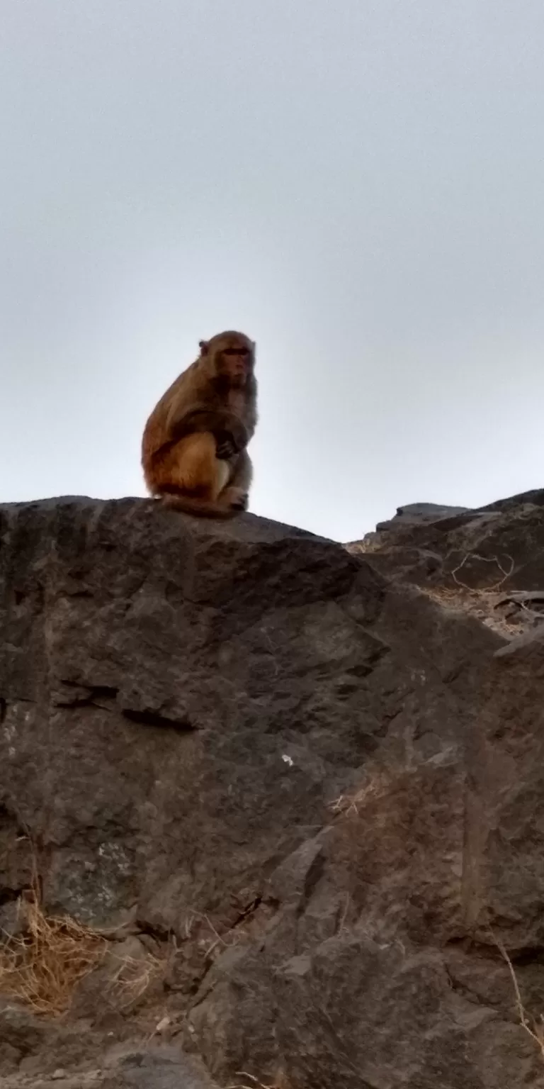 Photo of Pune By Rasika Chavan