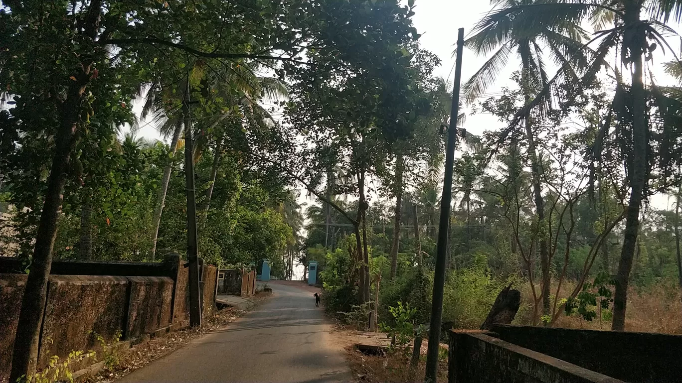 Photo of Someshwara Beach By Siddhant Jain
