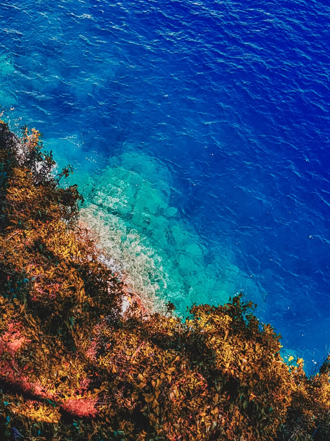 Photo of Europe By Anurag Verma