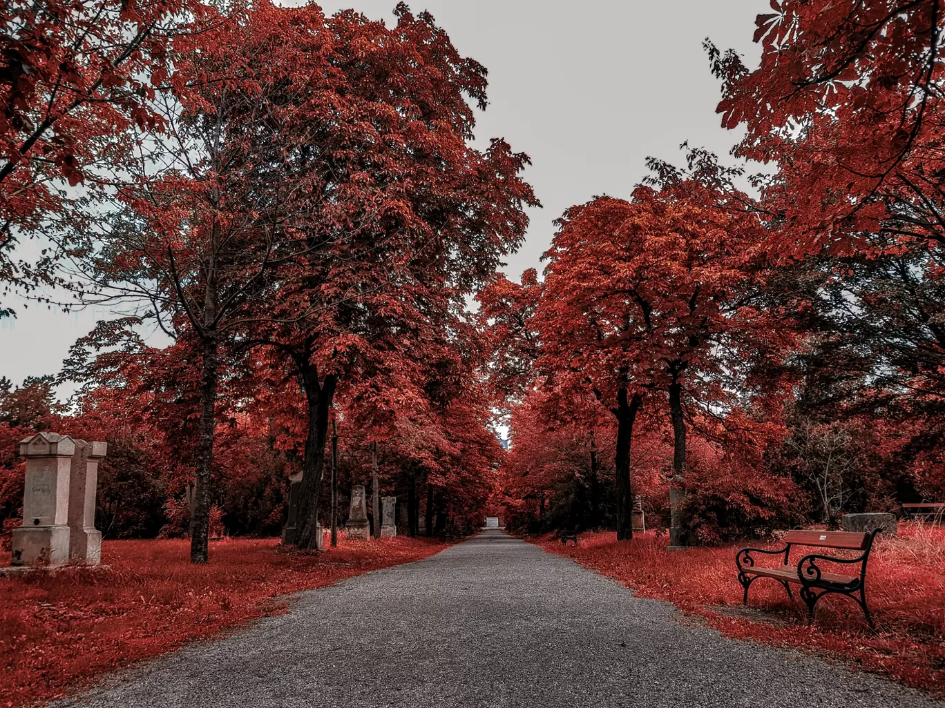 Photo of Europe By Anurag Verma