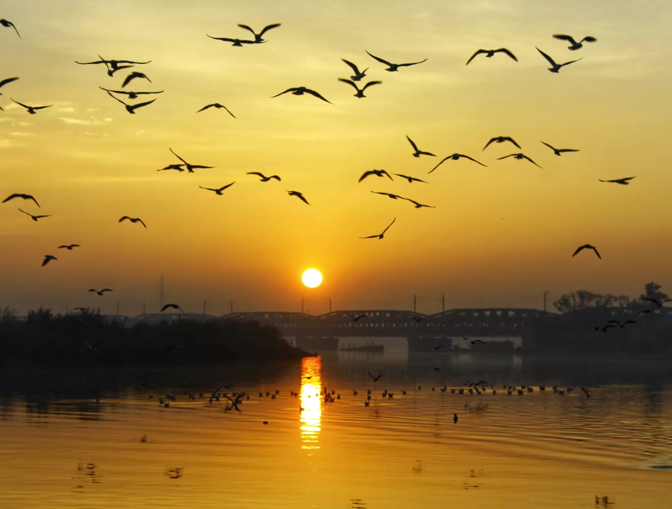 Photo of Yamuna Ghat By Ankit Singhal