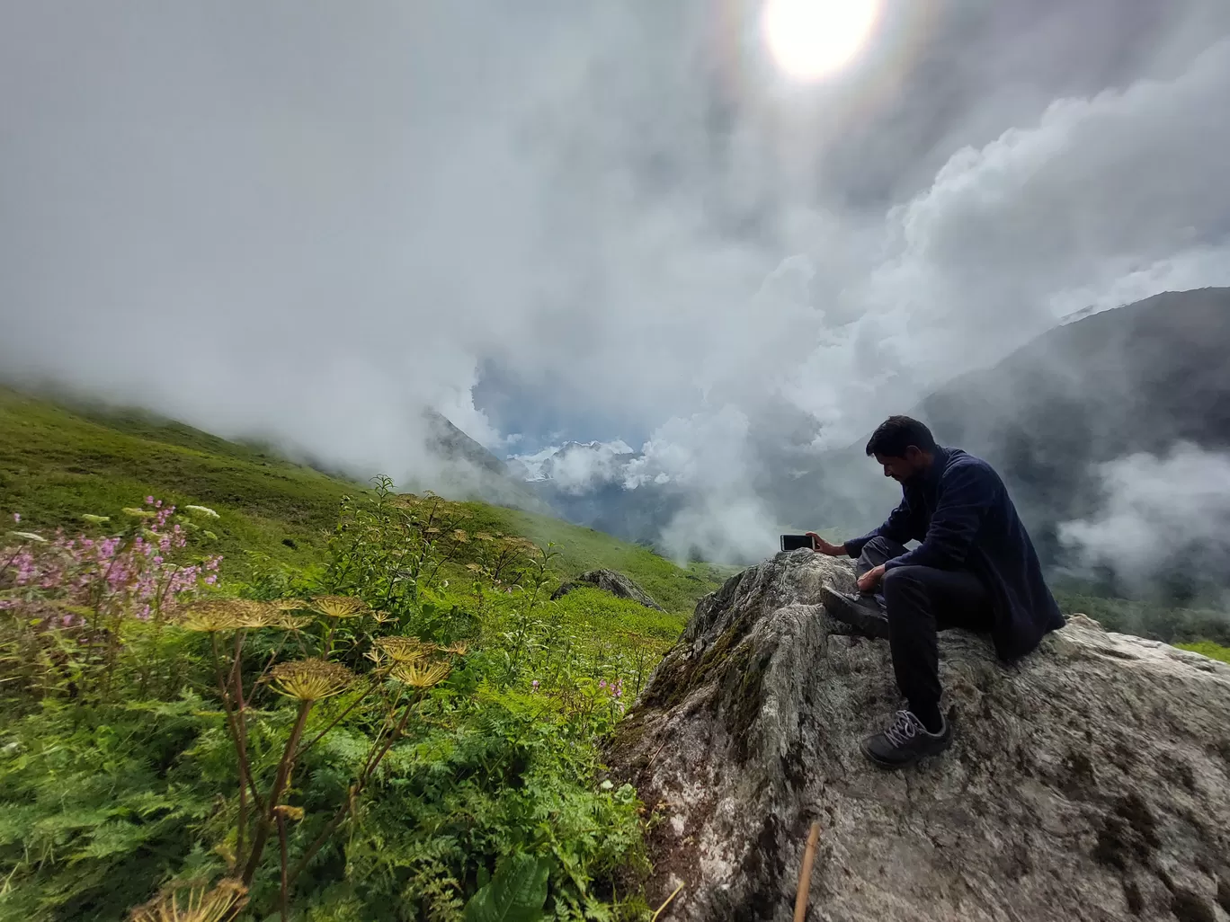 Photo of Valley of Flowers National Park By Sparsh Goyal
