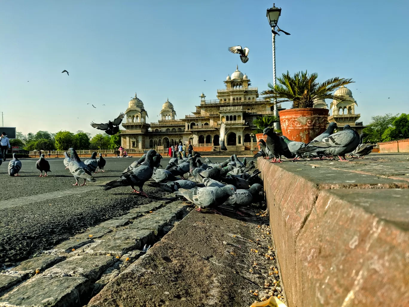 Photo of Albert Hall Museum By Ranjan Bhagat
