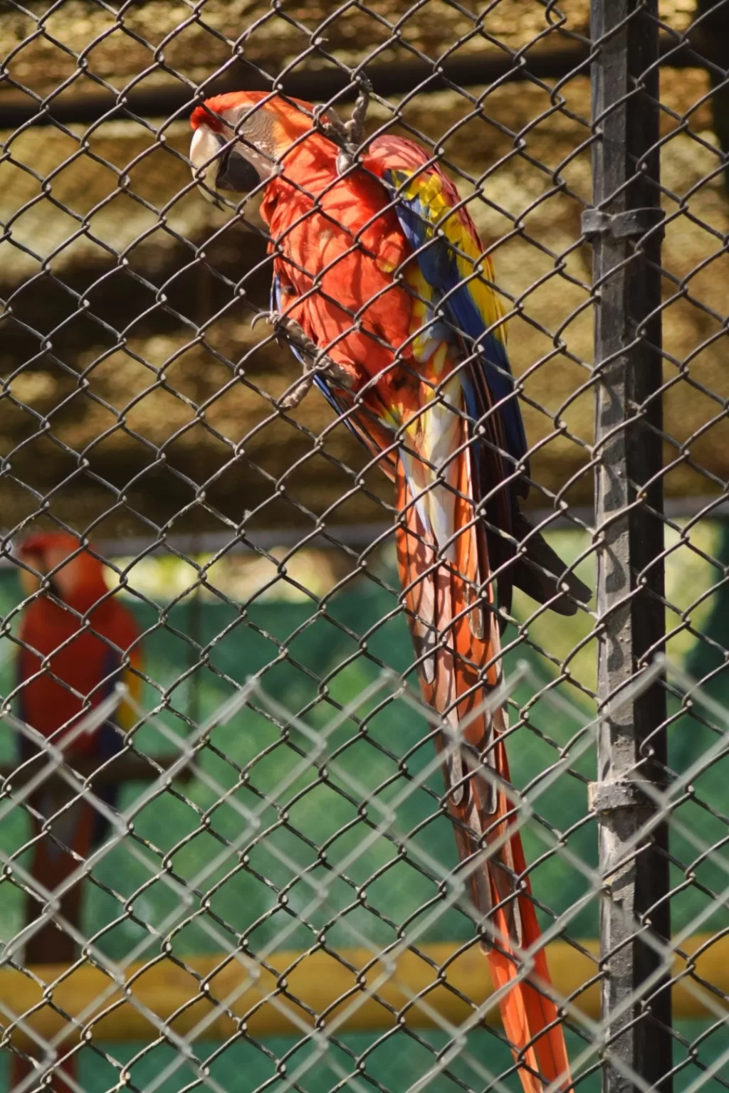 Photo of Nehru Zoological Park By ullasunni390
