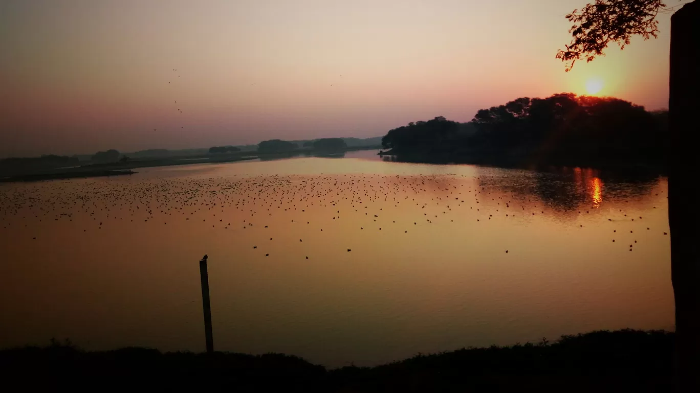 Photo of Thol Bird Sanctuary View Point By Puravi Pradhan