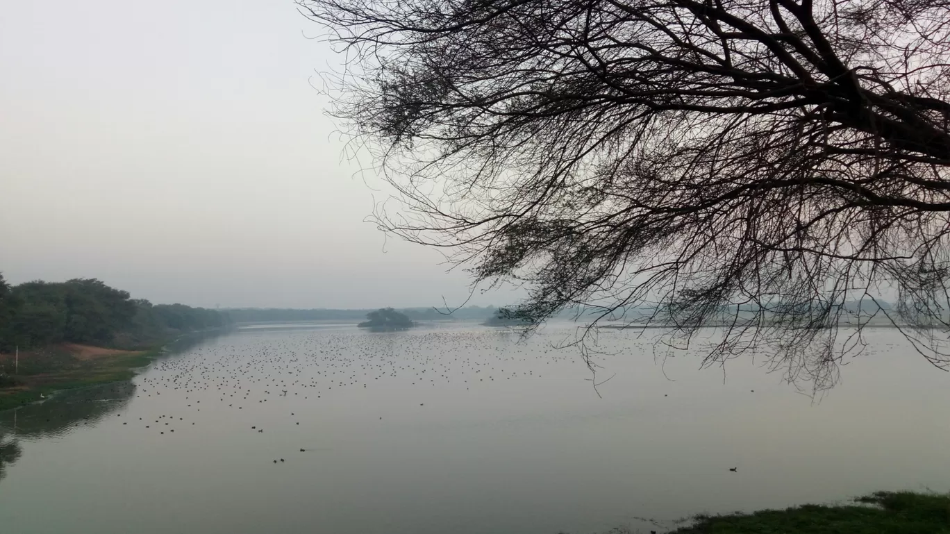 Photo of Thol Bird Sanctuary View Point By Puravi Pradhan