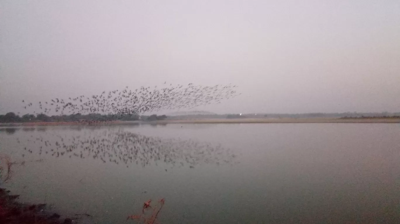 Photo of Thol Bird Sanctuary View Point By Puravi Pradhan