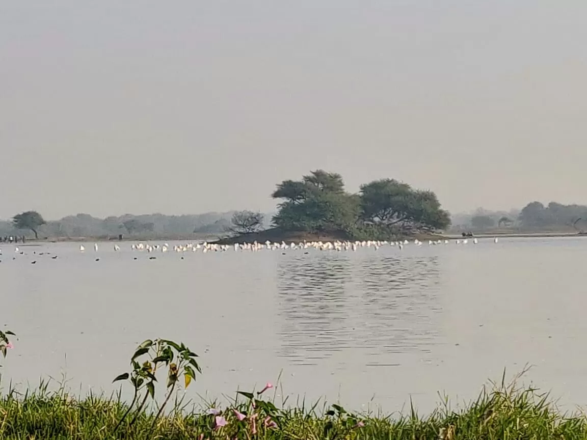 Photo of Thol Bird Sanctuary View Point By Puravi Pradhan