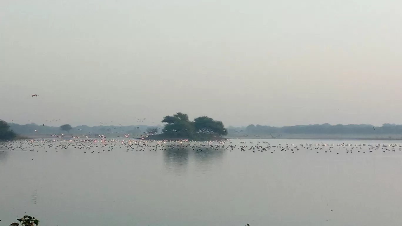 Photo of Thol Bird Sanctuary View Point By Puravi Pradhan