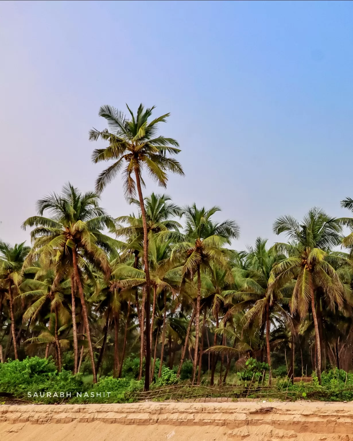 Photo of Devgad By saurabh NASHIT