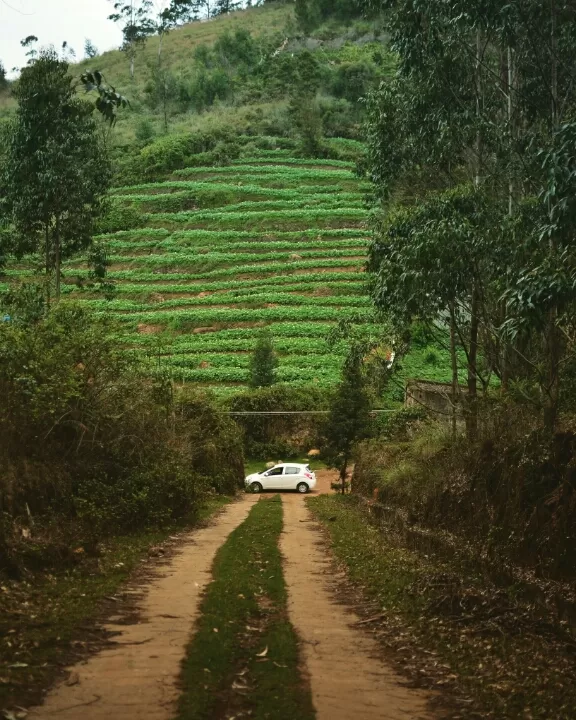 Photo of Kodaikanal By ArJun RaJu