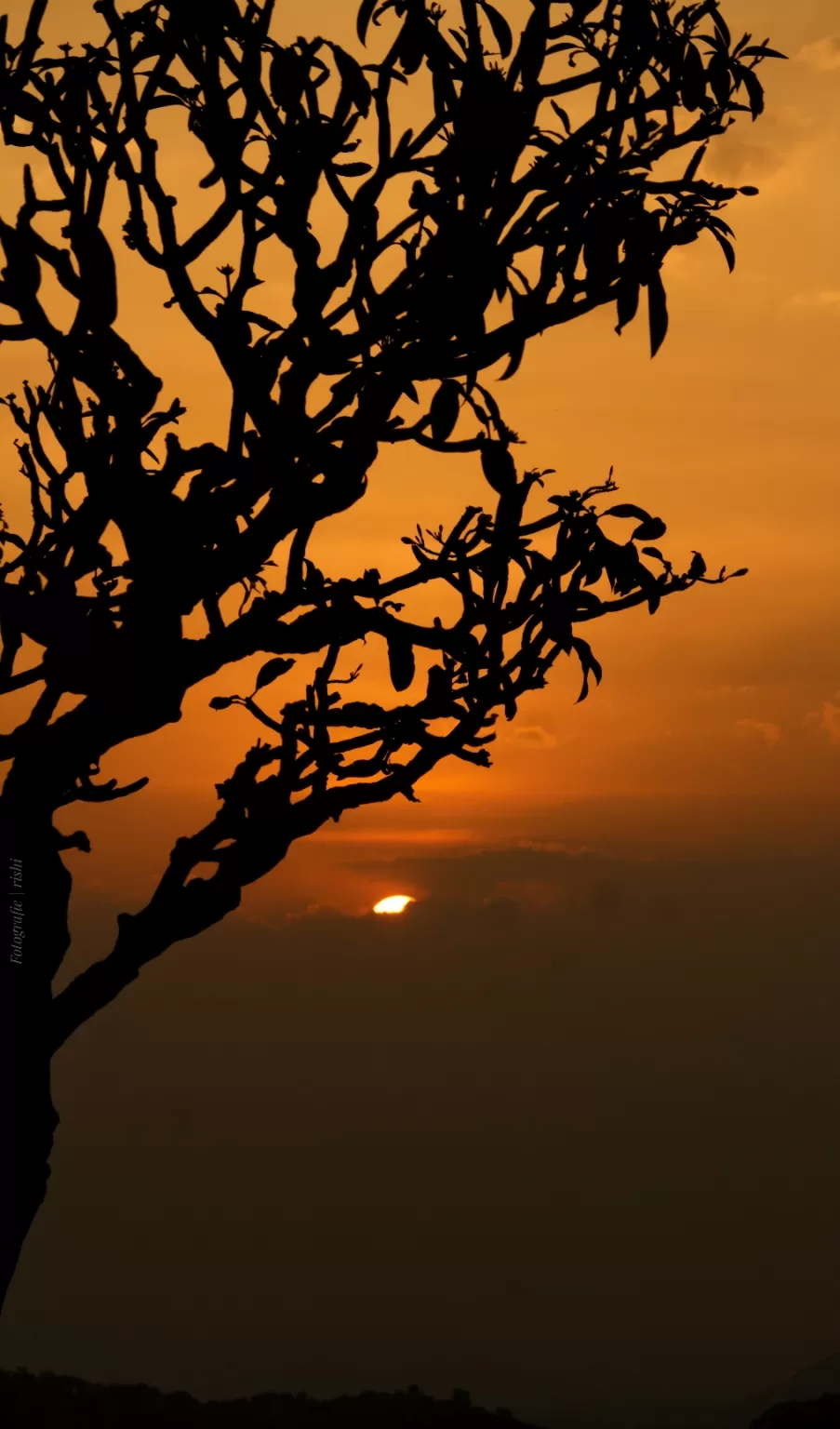 Photo of Hampi By Rishi Raj