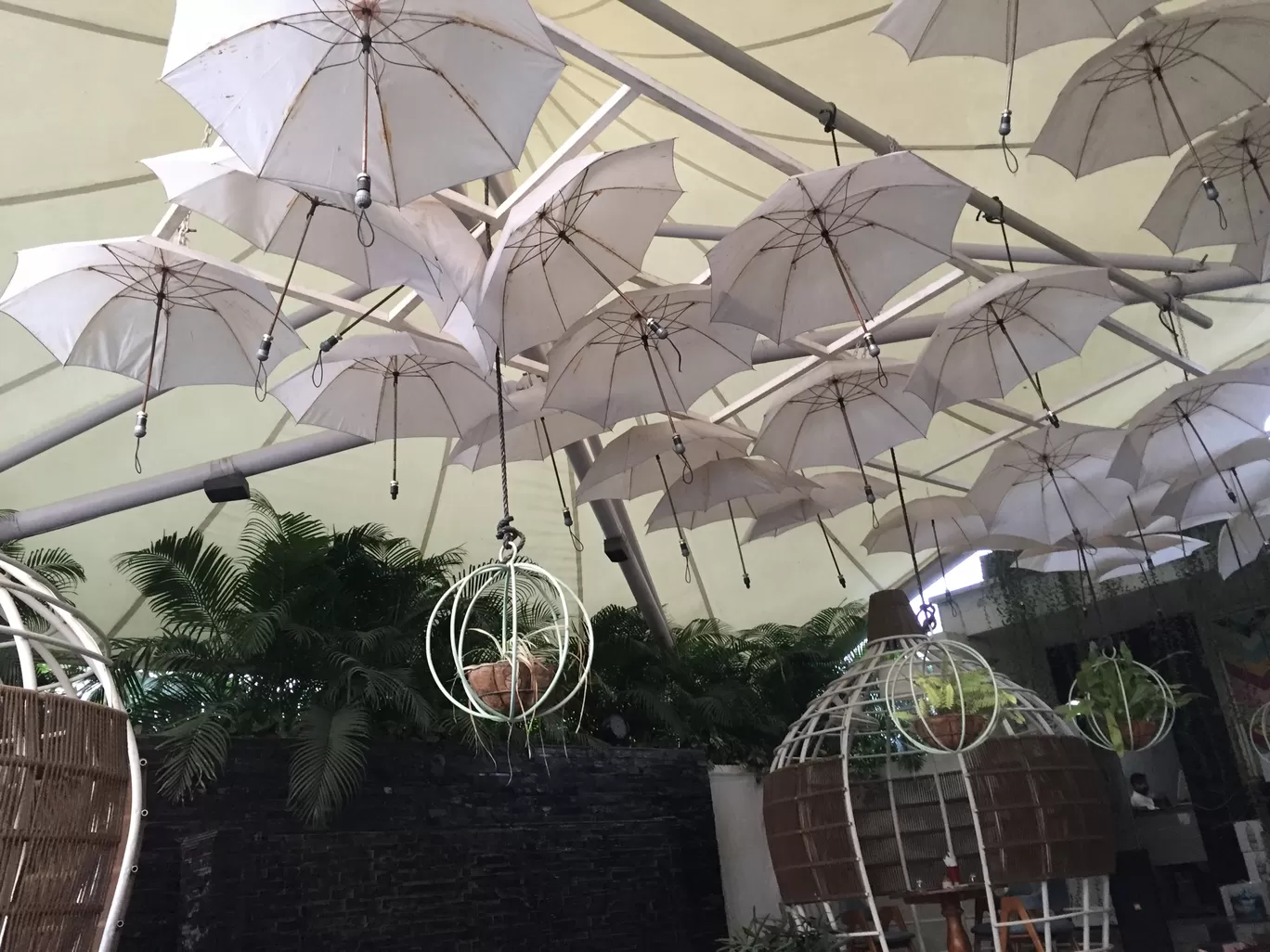 Photo of Meera's Bistro Amoroso Cafe By Anika Agarwal