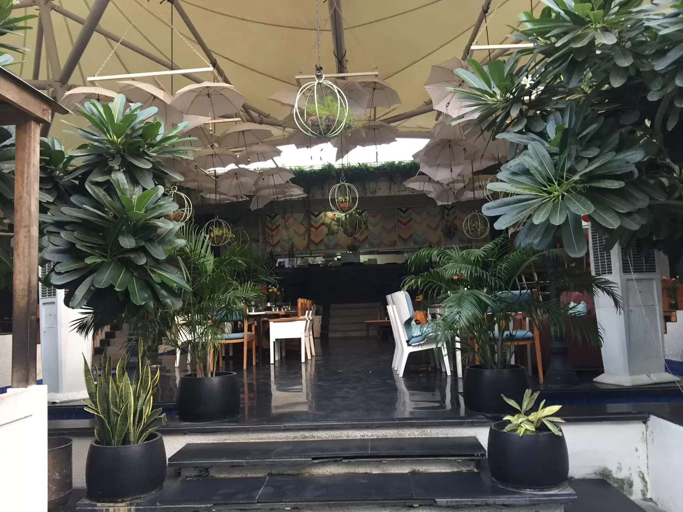 Photo of Meera's Bistro Amoroso Cafe By Anika Agarwal