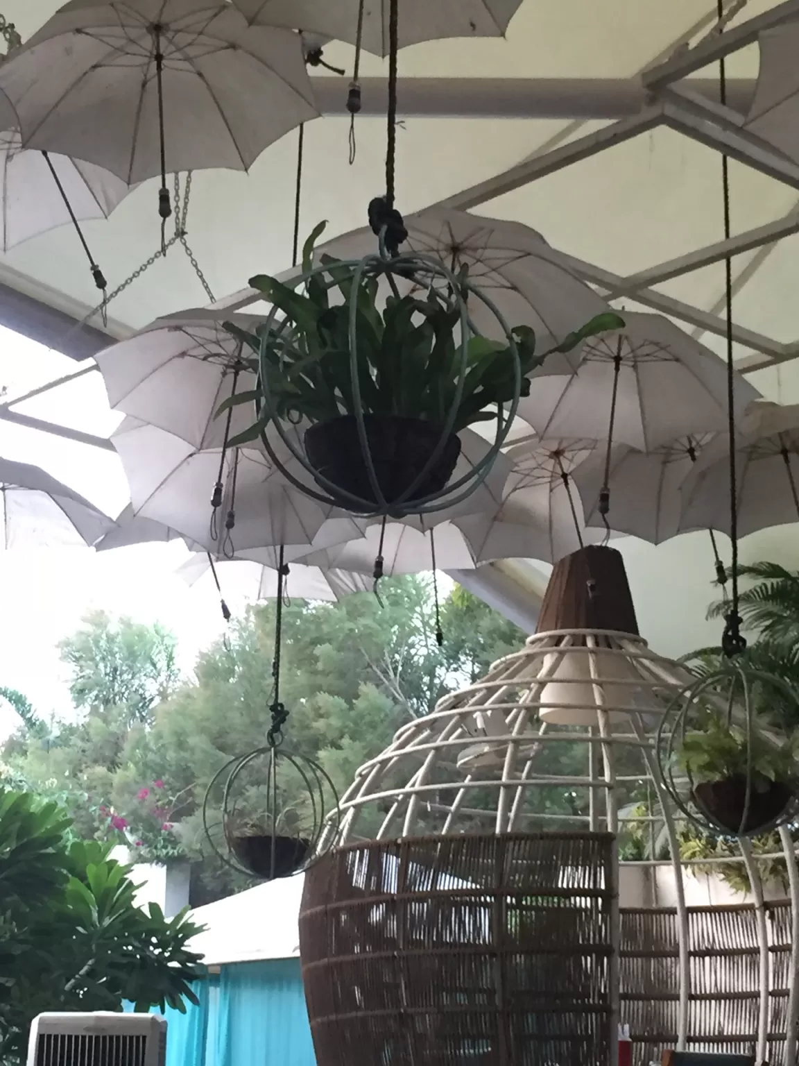 Photo of Meera's Bistro Amoroso Cafe By Anika Agarwal