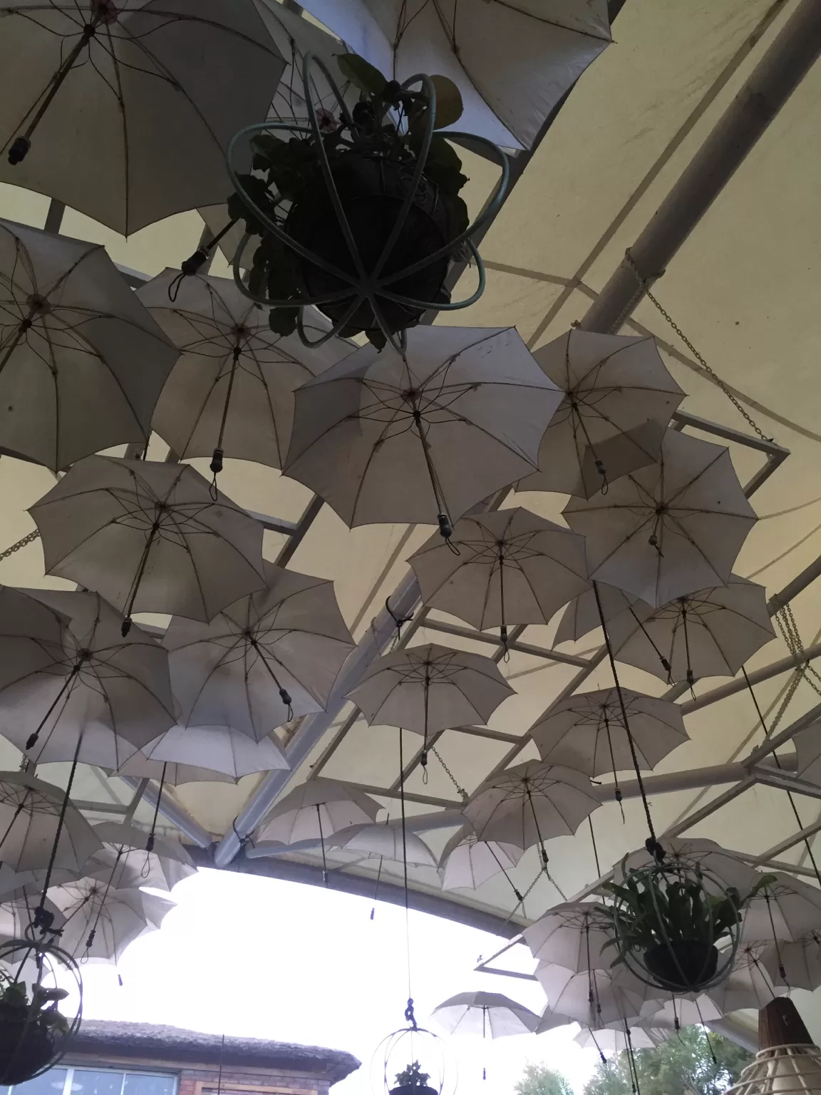 Photo of Meera's Bistro Amoroso Cafe By Anika Agarwal