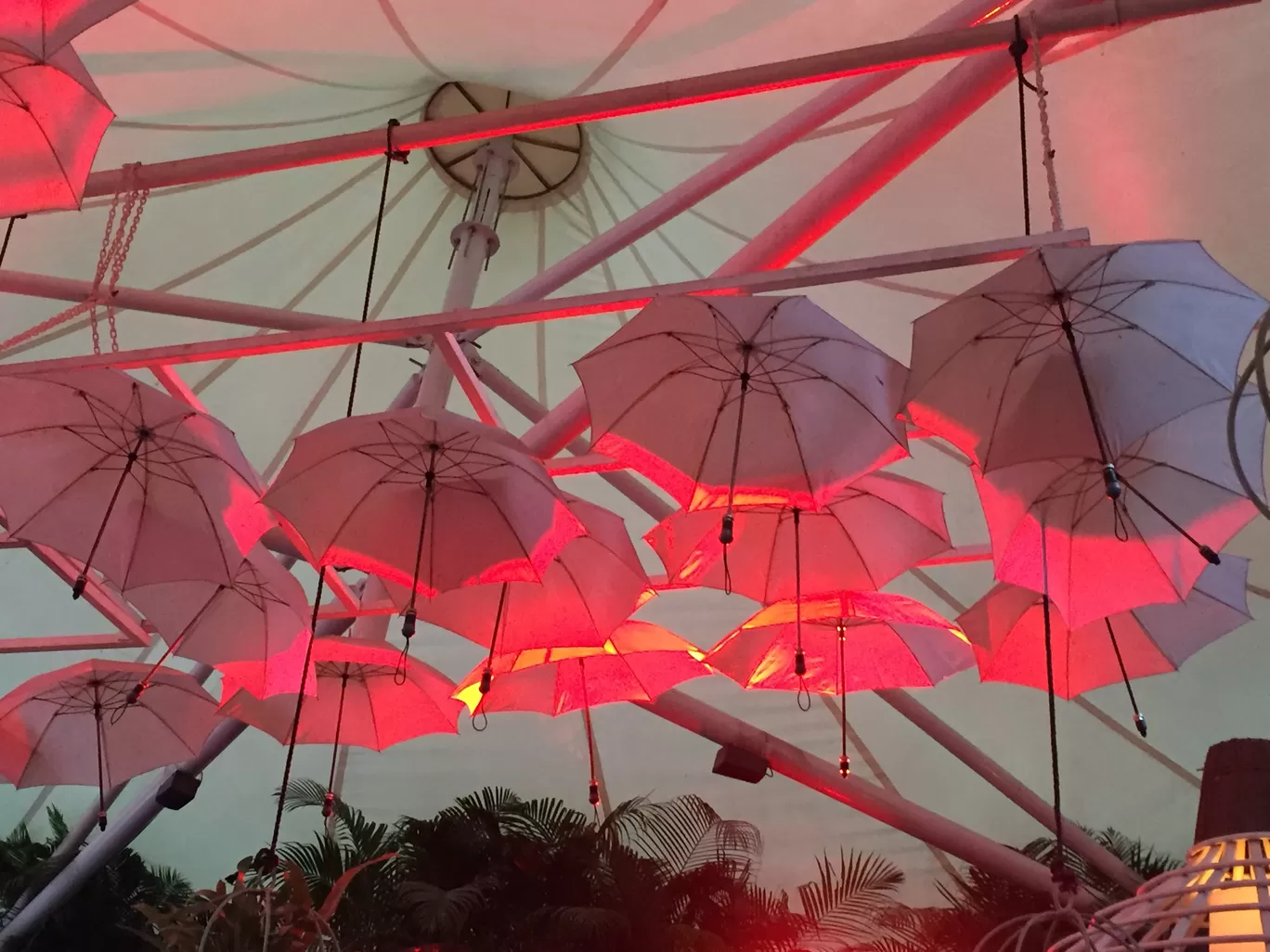 Photo of Meera's Bistro Amoroso Cafe By Anika Agarwal