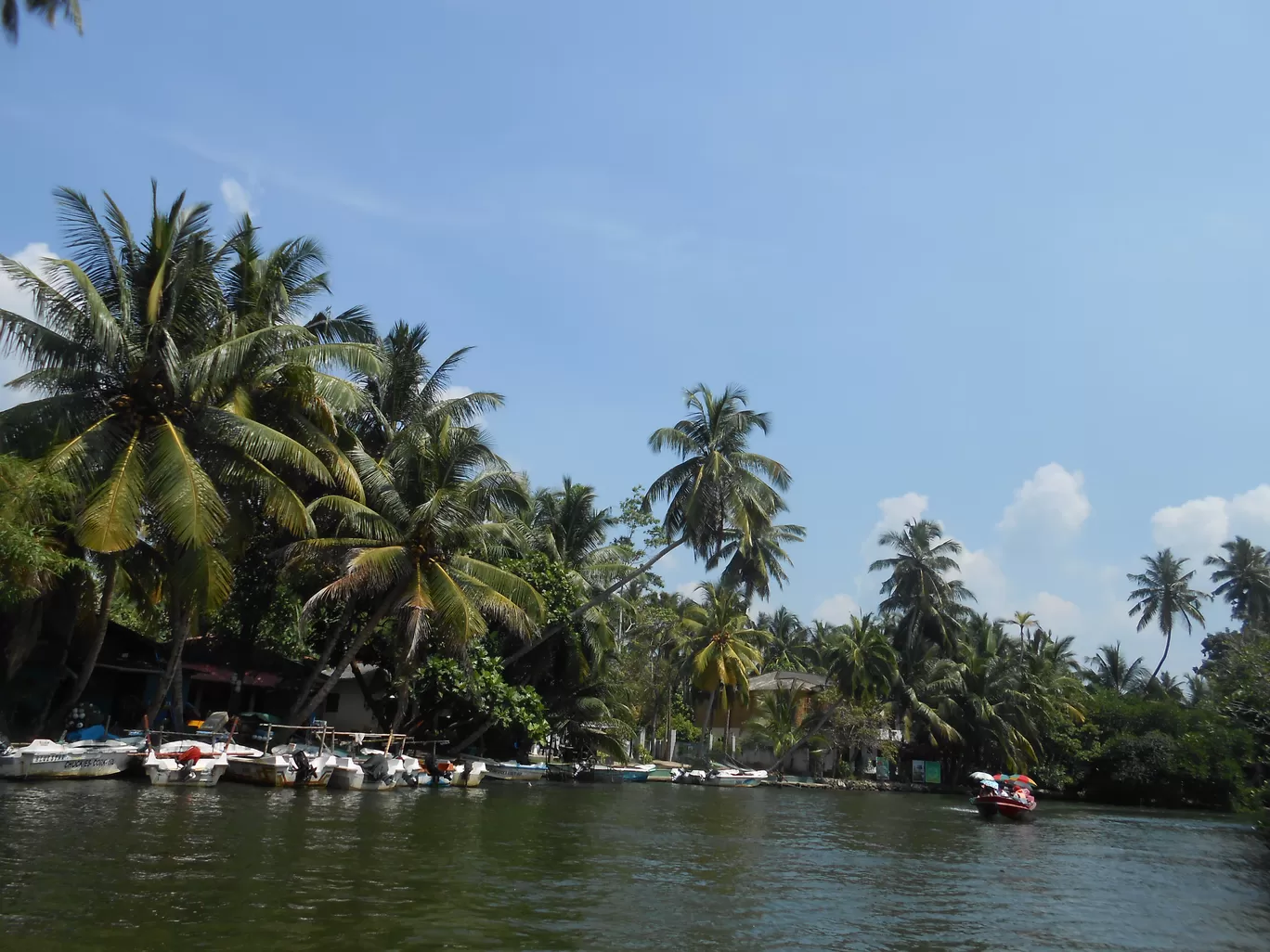 Photo of Sri Lanka By Anika Agarwal