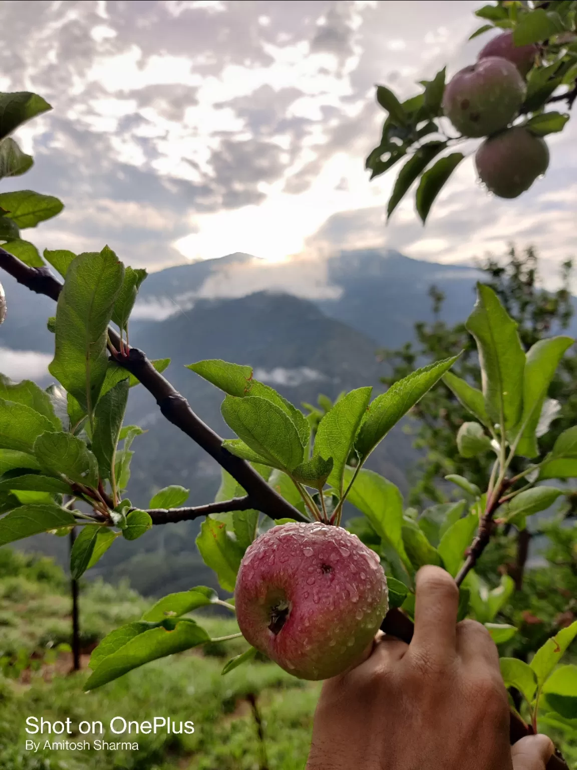 Photo of Himachal Pradesh By Amitosh Sharma