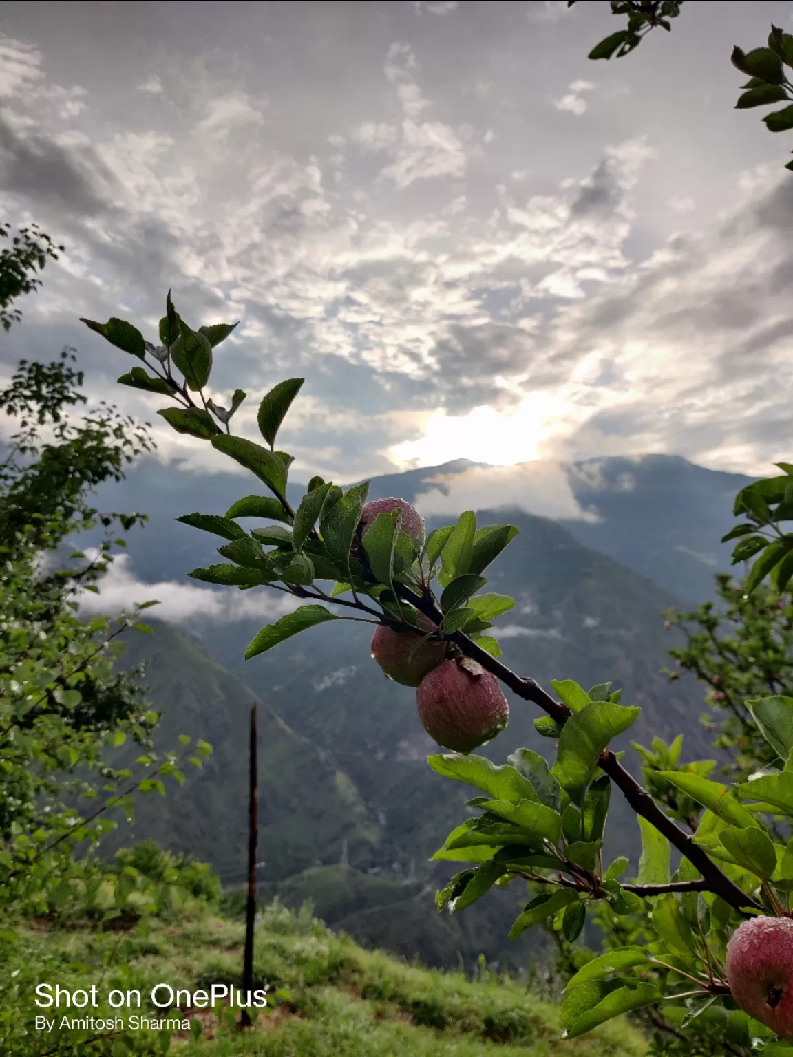 Photo of Himachal Pradesh By Amitosh Sharma