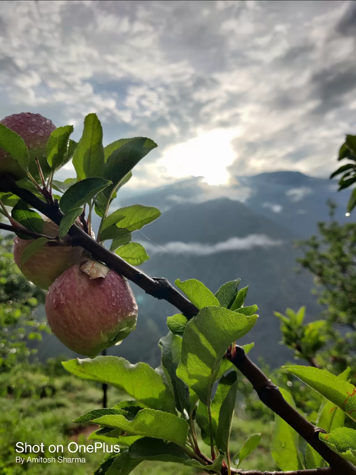 Photo of Himachal Pradesh By Amitosh Sharma