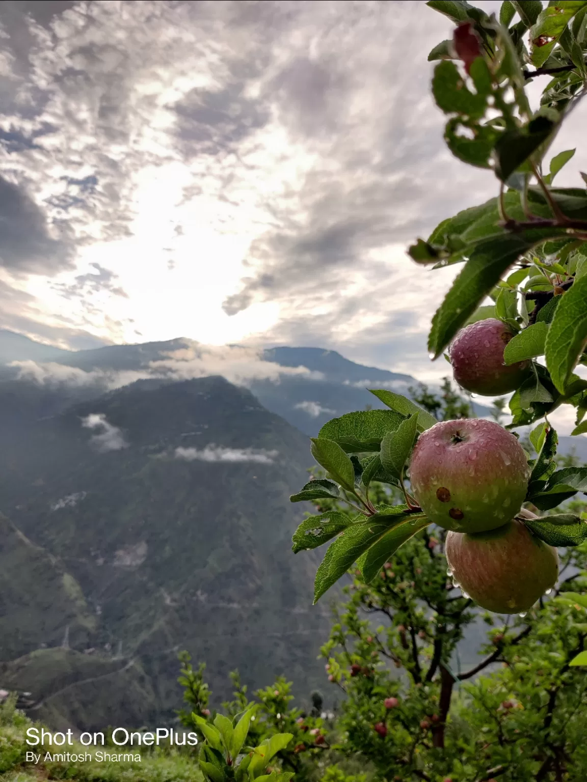 Photo of Himachal Pradesh By Amitosh Sharma