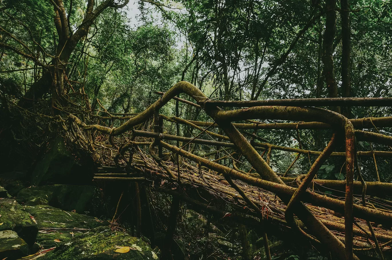 Photo of Mawlynnong By Tuhina Das Choudhury