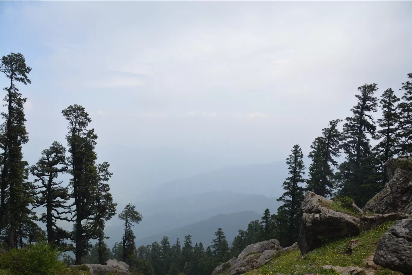 Photo of Churdhar By Ashish Gupta