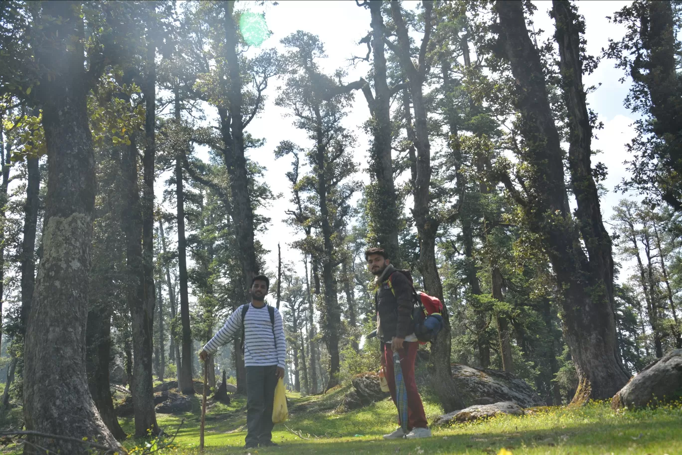 Photo of Churdhar By Ashish Gupta