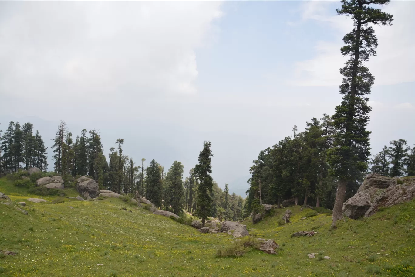 Photo of Churdhar By Ashish Gupta