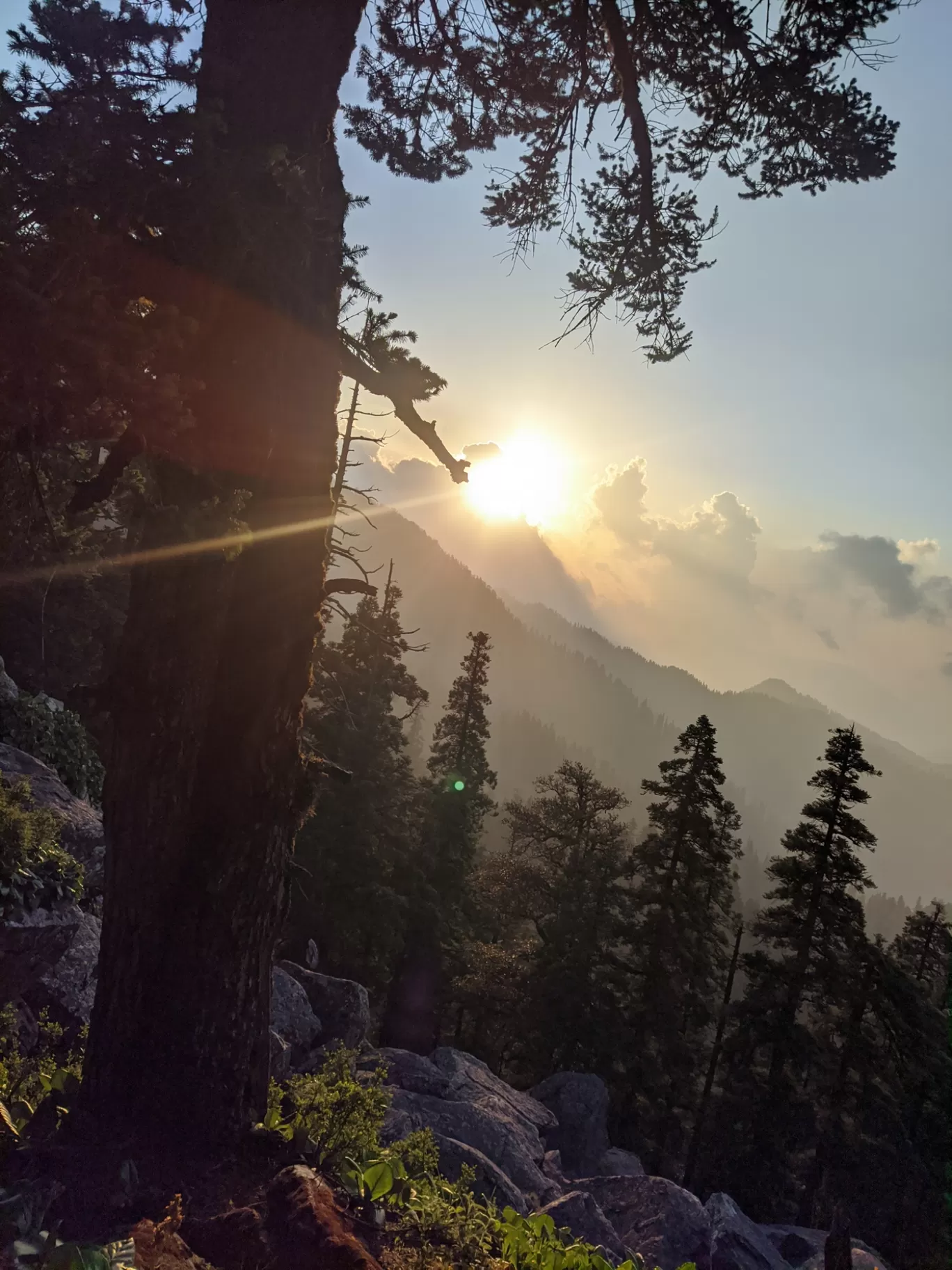Photo of Churdhar By Ashish Gupta