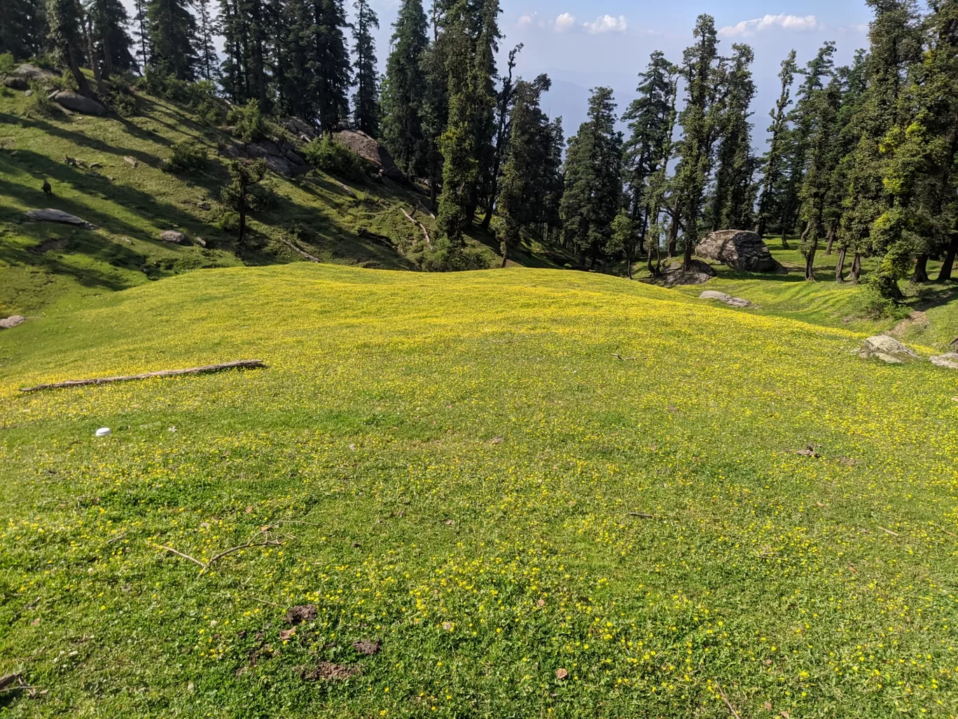 Photo of Churdhar By Ashish Gupta