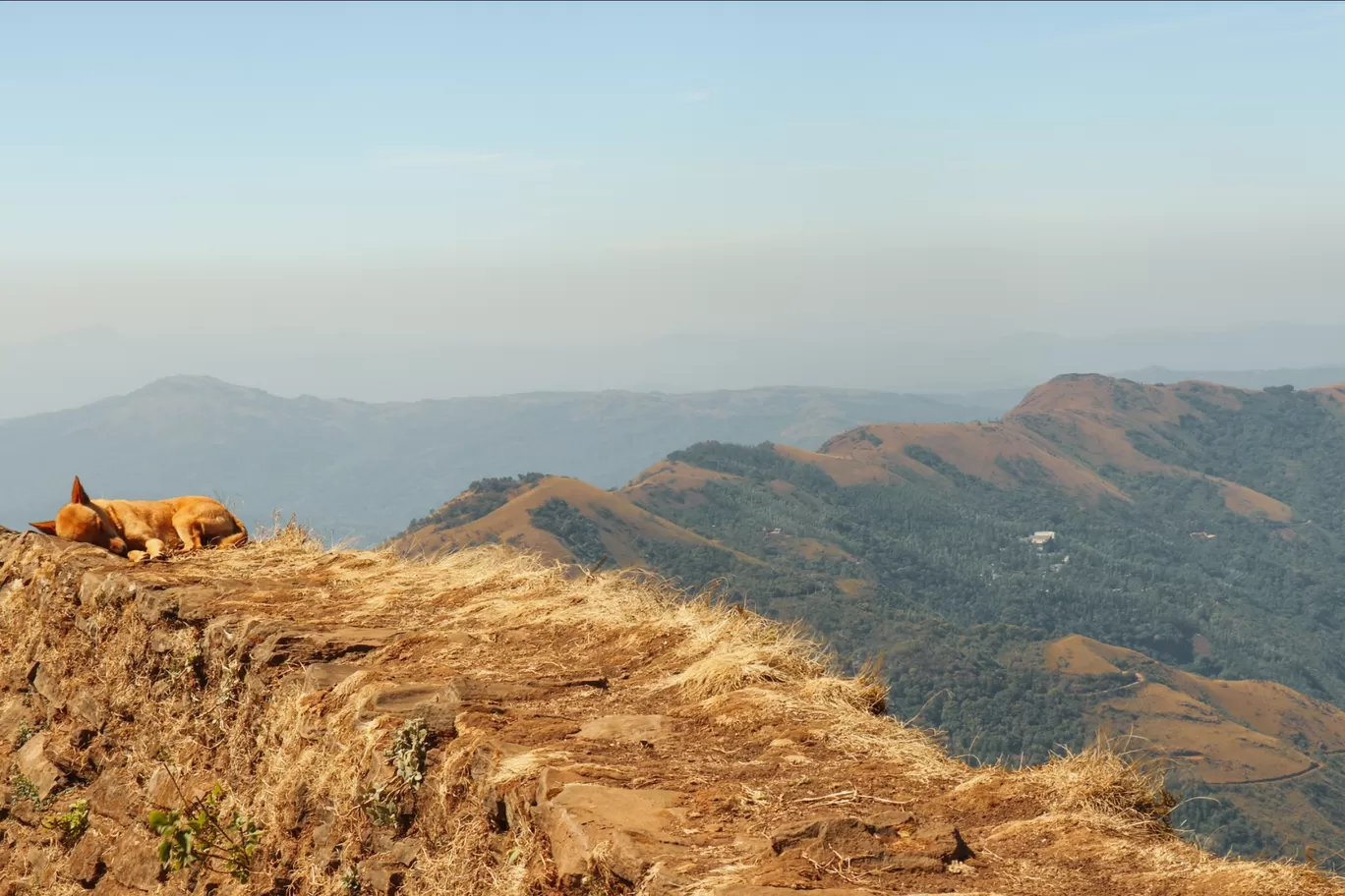 Photo of Chickmagaluru By Sharath Vasisht