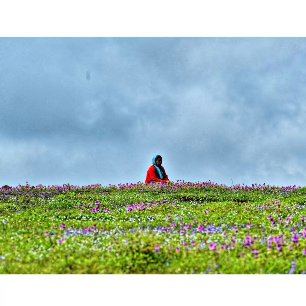 Photo of Kaas Plateau of Flowers By Lathish Shetty