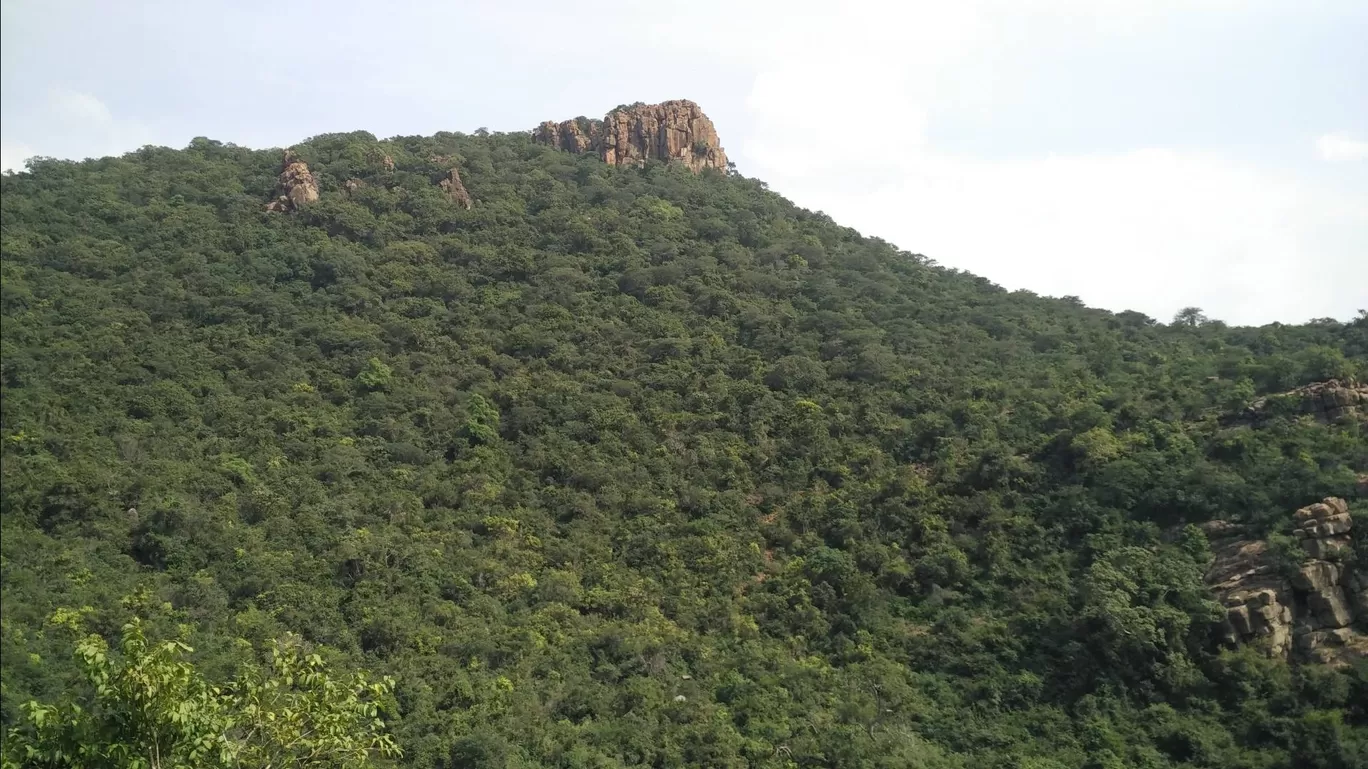 Photo of Ladapuram - Ammapalayam Road By Naveen Kumar SelviRajan