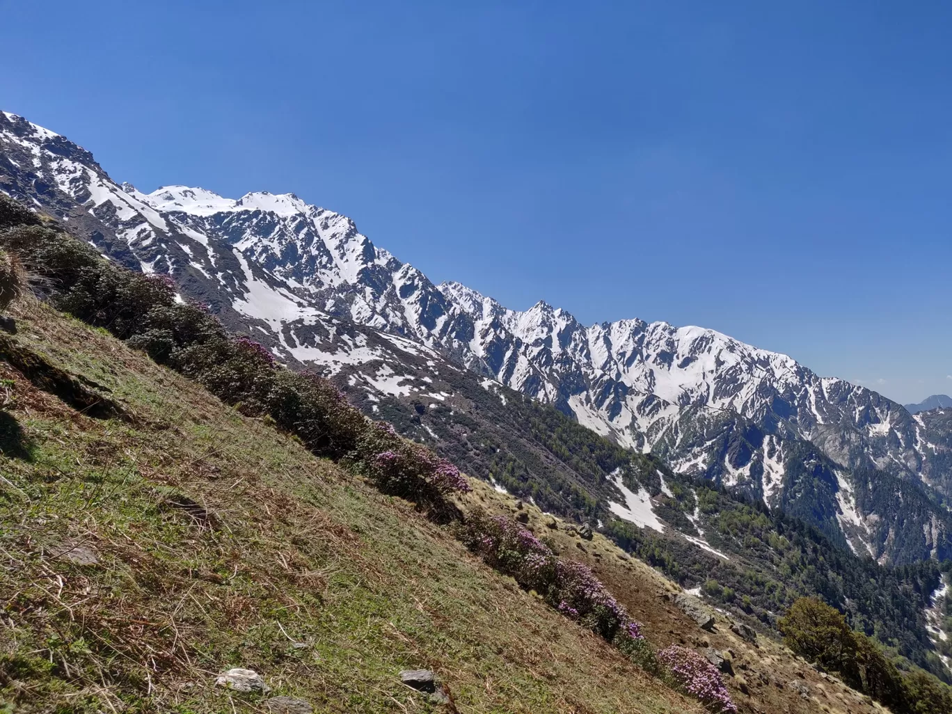 Photo of Sar Pass Trek By Frantic_Feets