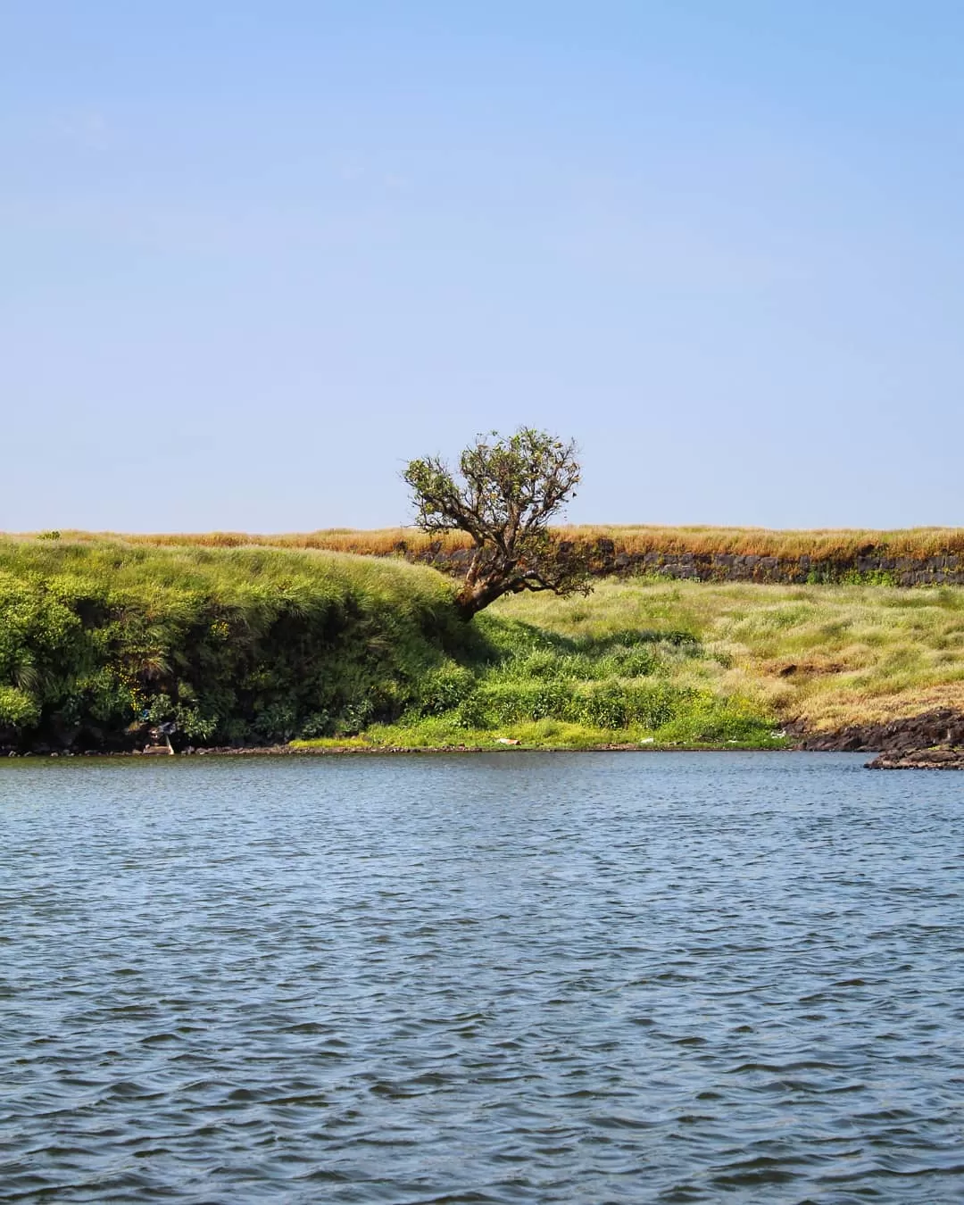 Photo of Korigad Fort By Suraj Kailase