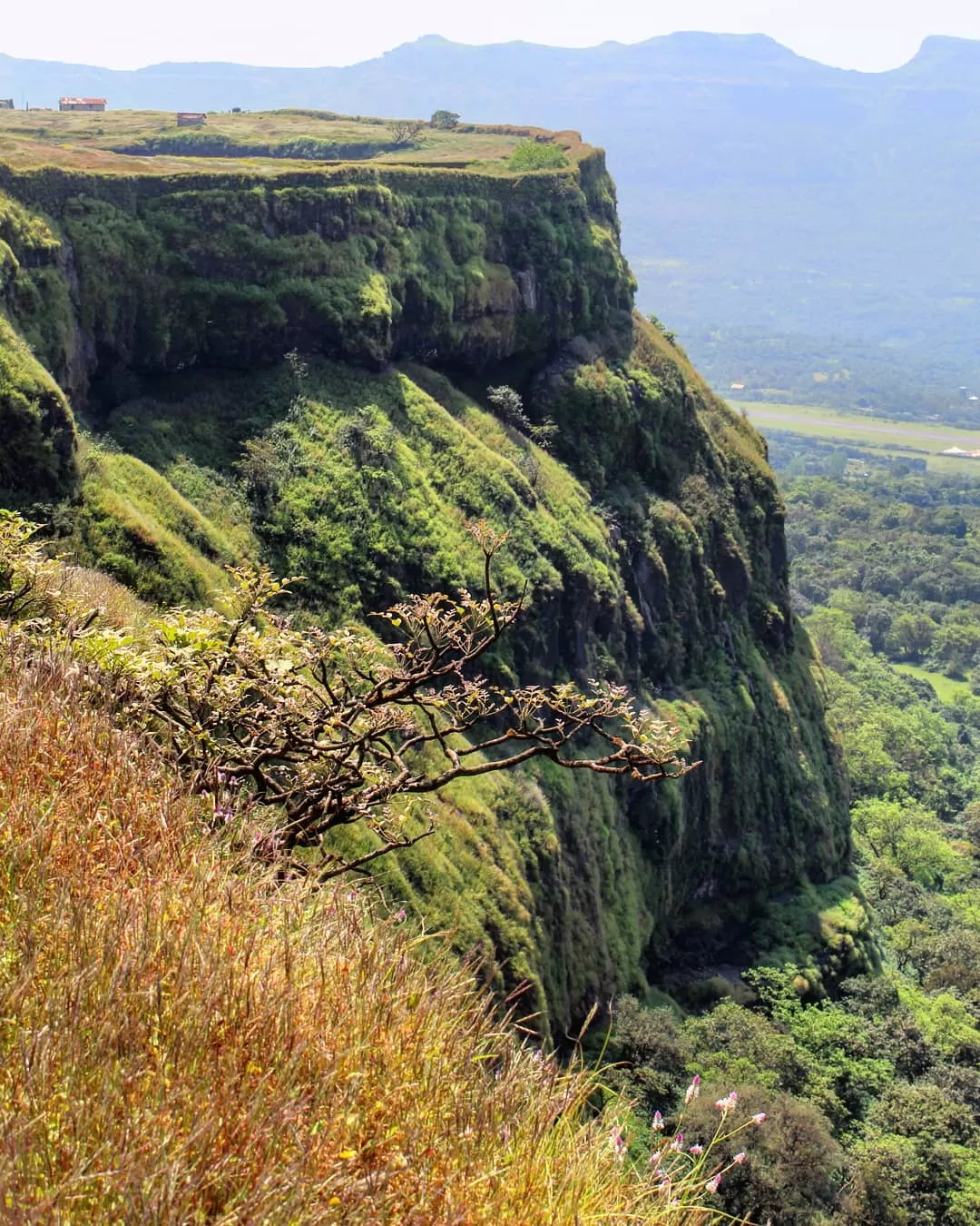 Photo of Korigad Fort By Suraj Kailase