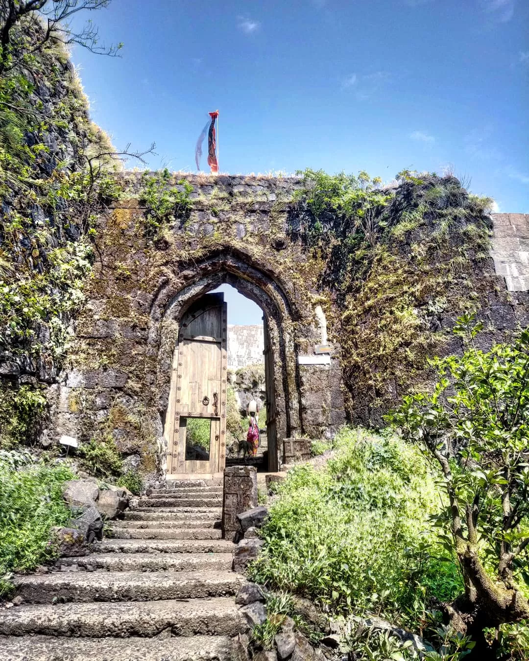 Photo of Korigad Fort By Suraj Kailase