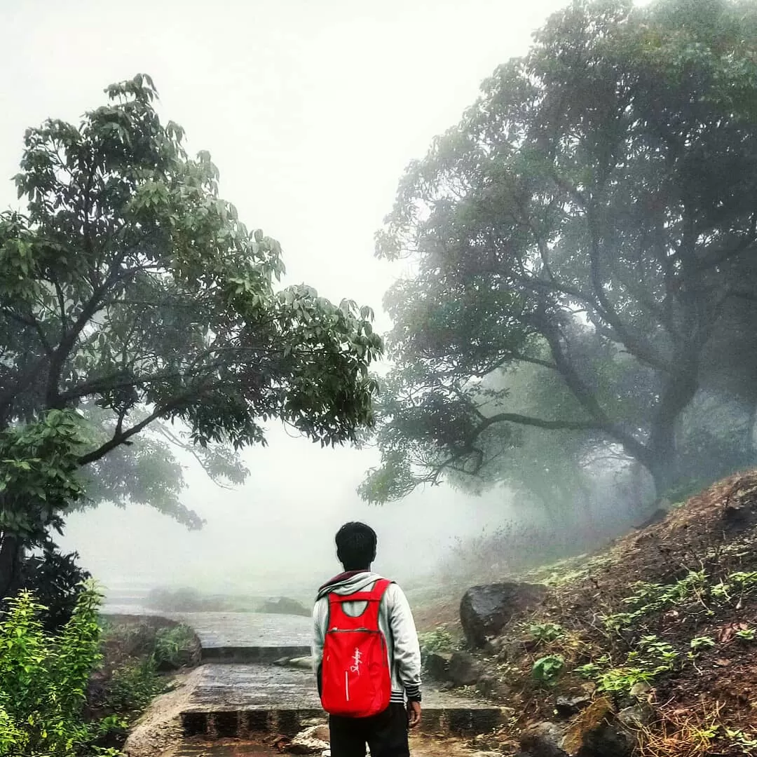 Photo of Torna Fort By Suraj Kailase