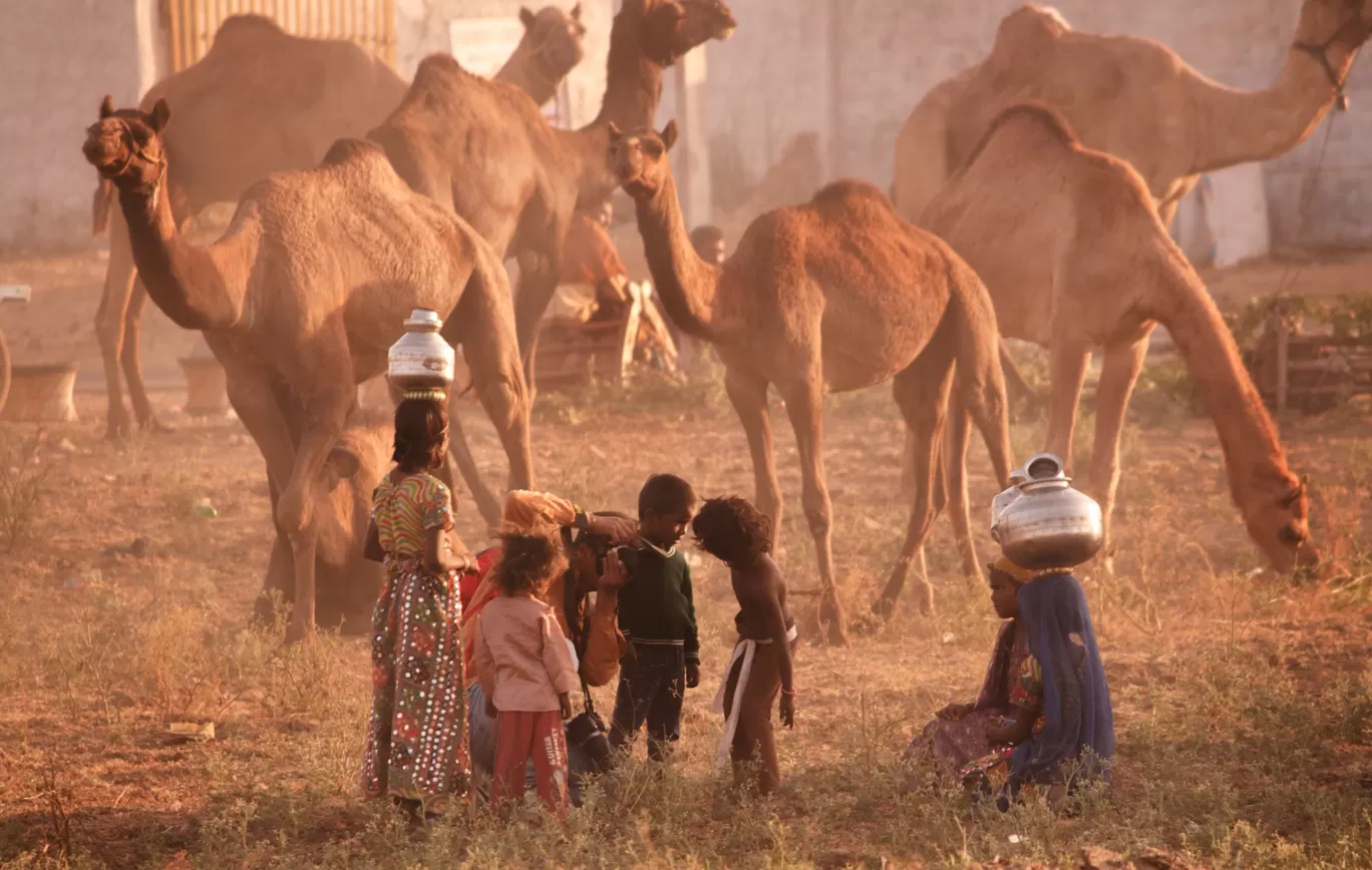 Photo of Rajasthan By Brijesh Dhobi