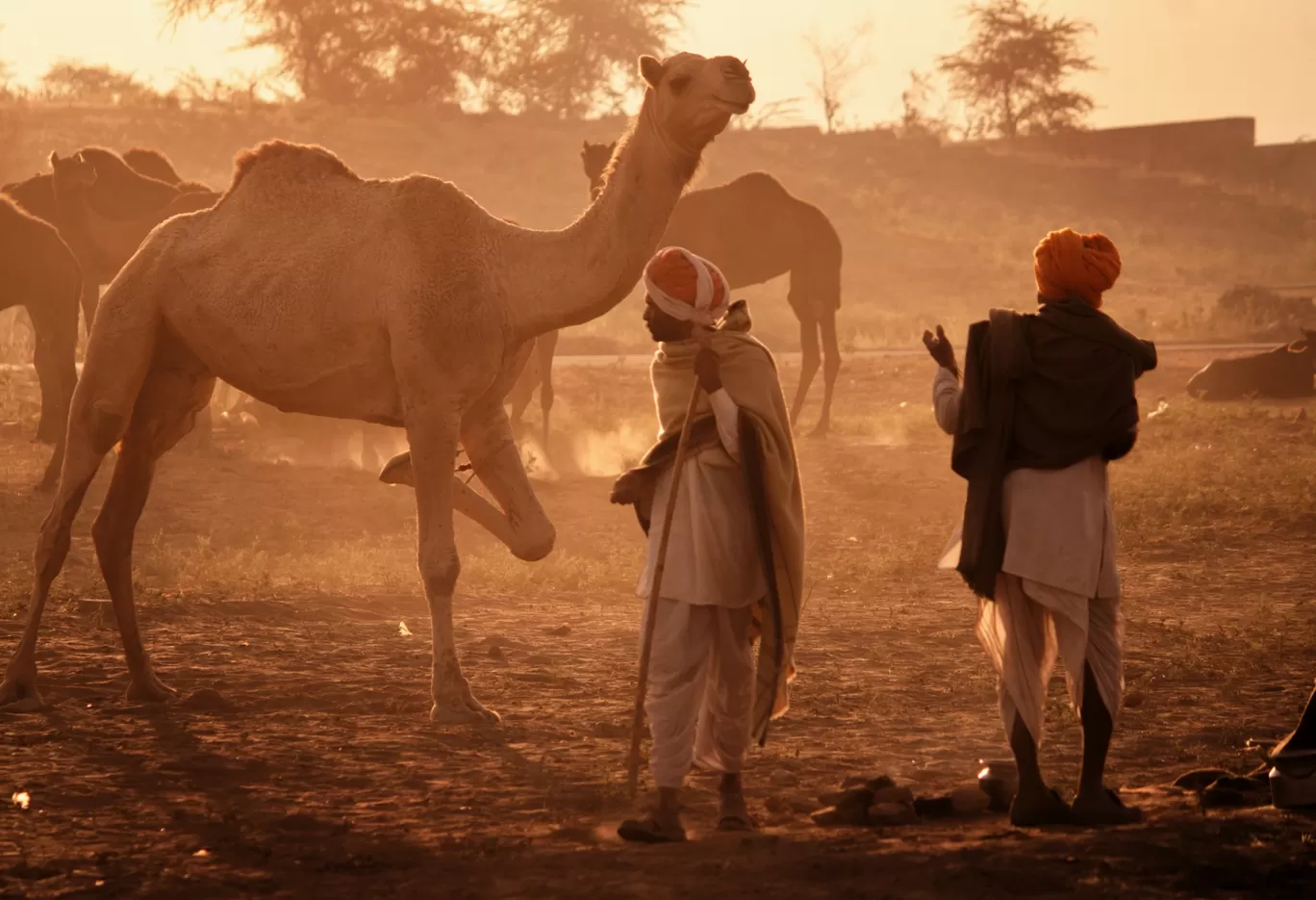 Photo of Rajasthan By Brijesh Dhobi