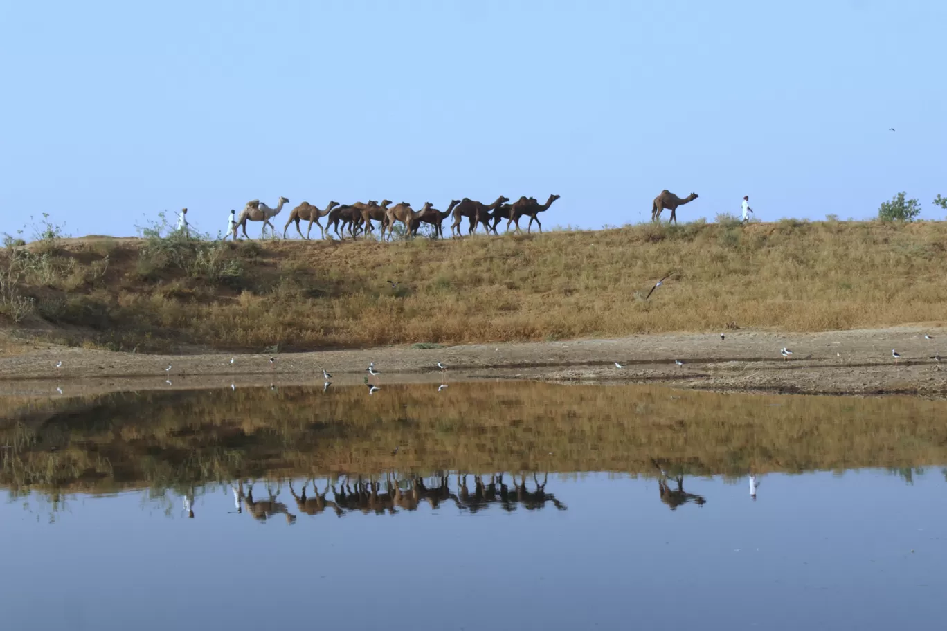 Photo of Rajasthan By Brijesh Dhobi