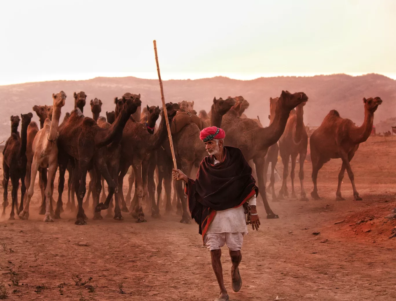 Photo of Rajasthan By Brijesh Dhobi