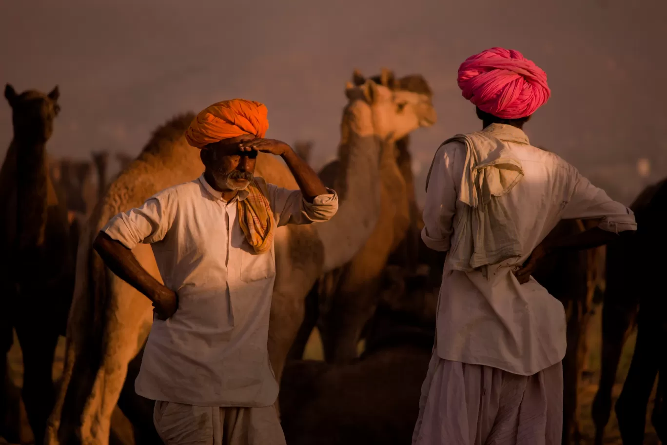 Photo of Rajasthan By Brijesh Dhobi