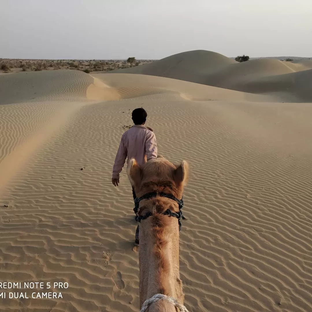Photo of Thar Desert By srinath s