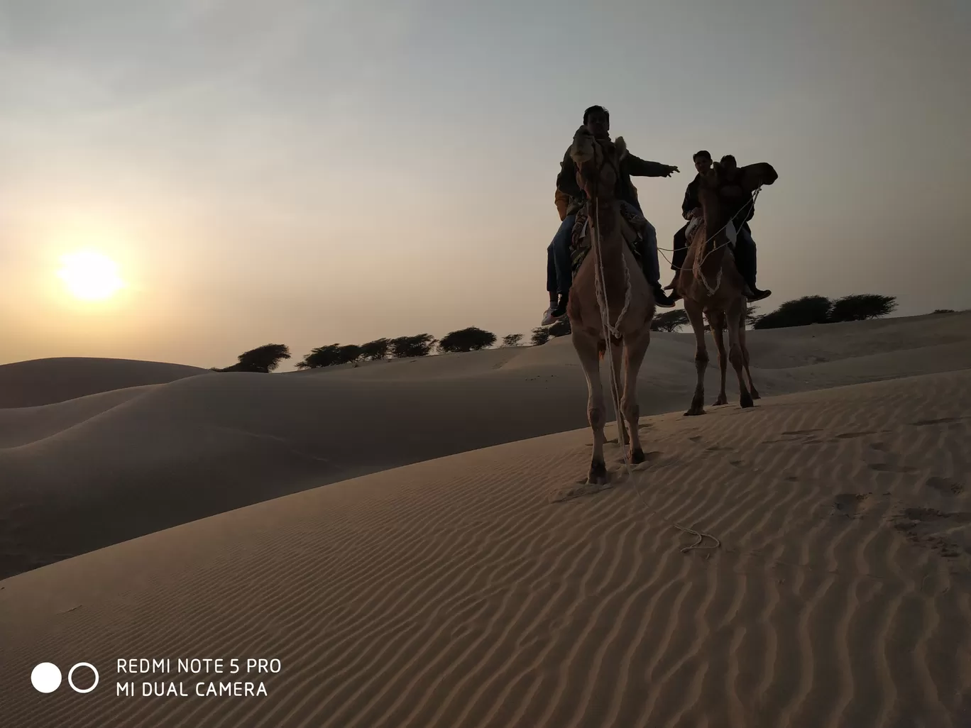 Photo of Thar Desert By srinath s
