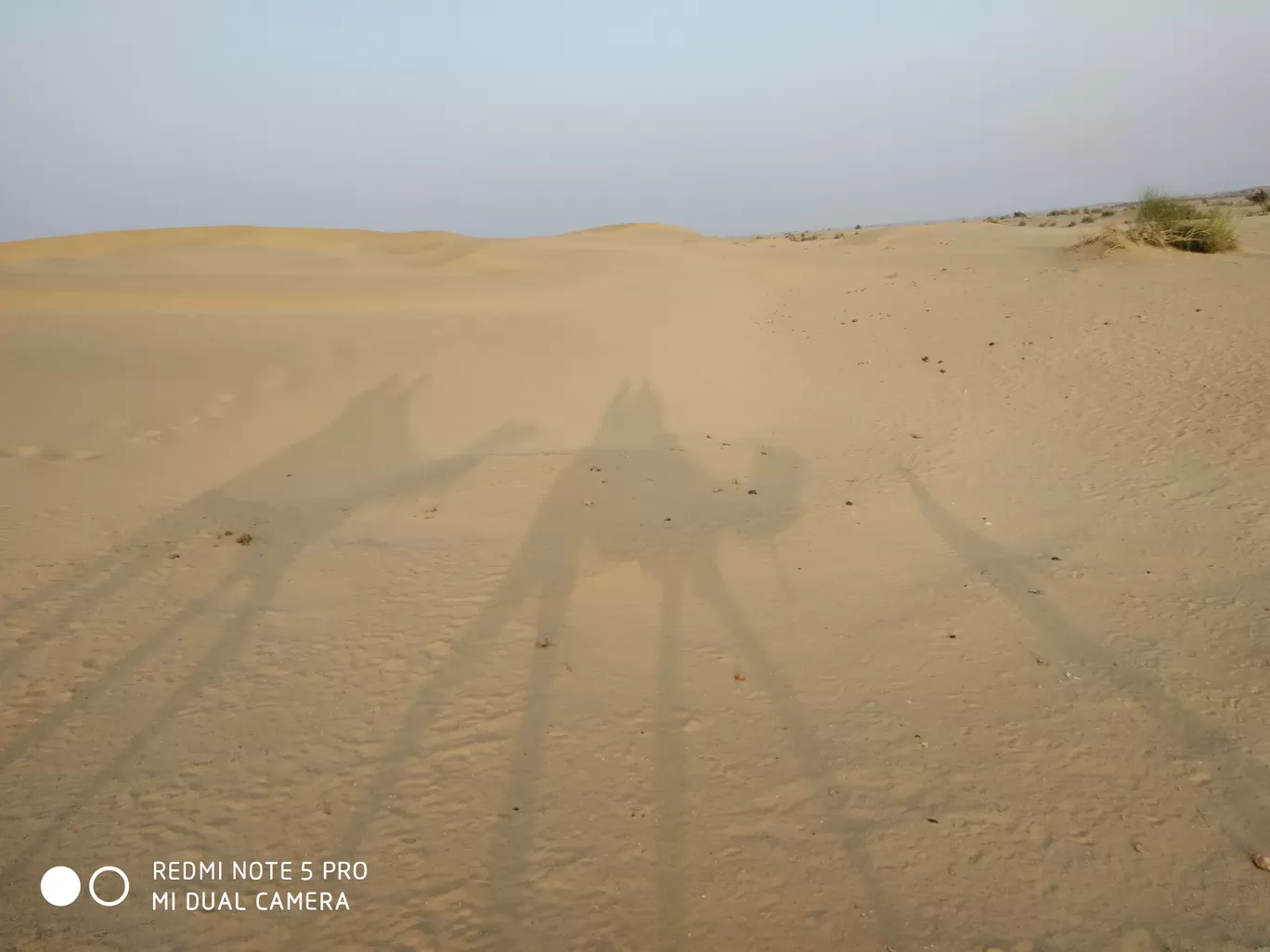 Photo of Thar Desert By srinath s